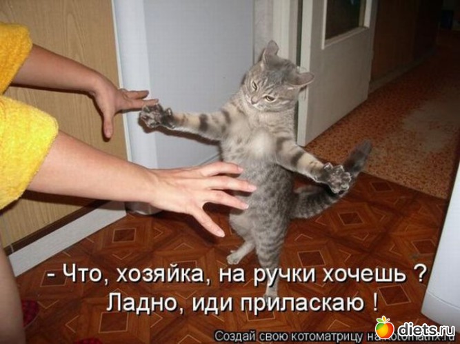 14 ����: ���� � ��