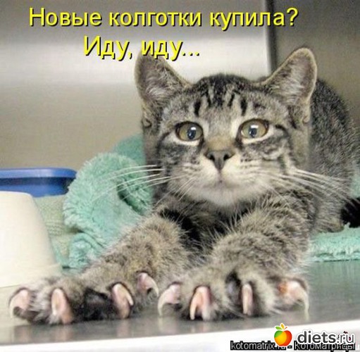 17 ����: ���� � ��