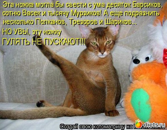 20 ����: ���� � ��