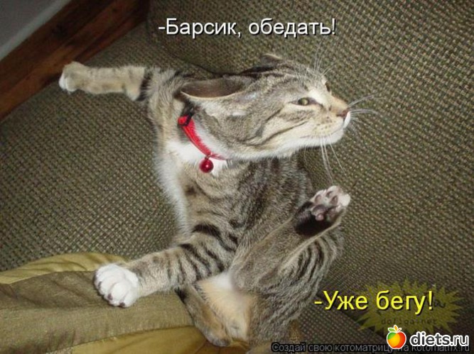 21 ����: ���� � ��