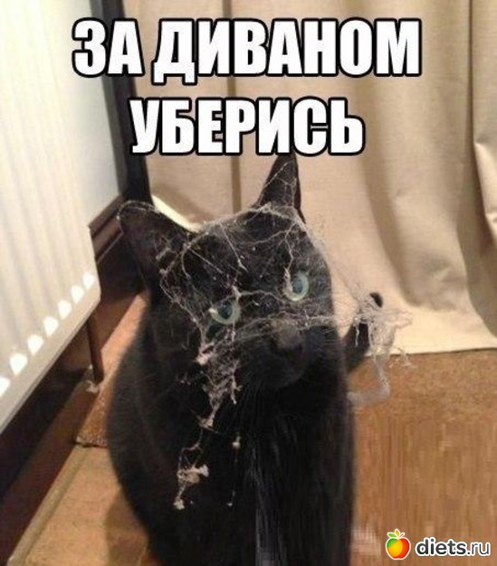 16 ����: ��������2