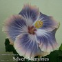 099 - Silver Memories