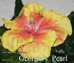 100 - Georgia's Pearl