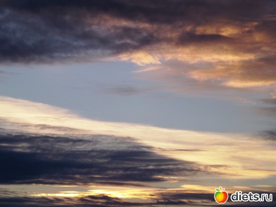 9 фото: Портрет