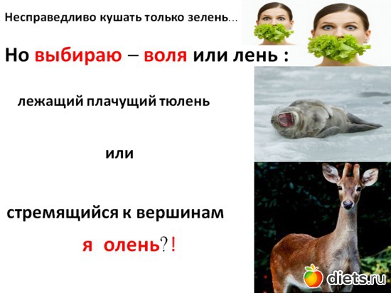 Я -ОЛЕНЬ, альбом: ДУМАЙ И ПОХУДЕЙ