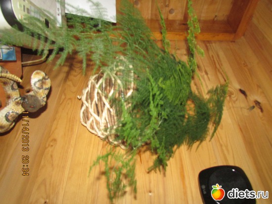 4 ����: �����