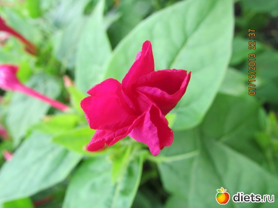 8 ����: �����