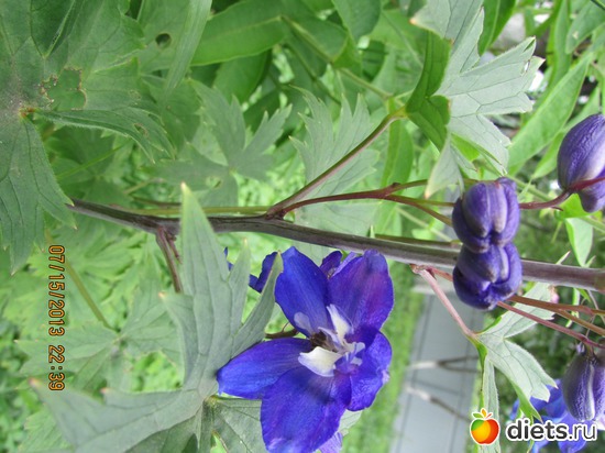11 ����: �����