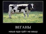 Записки вегетарианца-неофита. :)