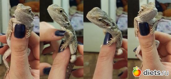 9 ����: ��� ������� �����