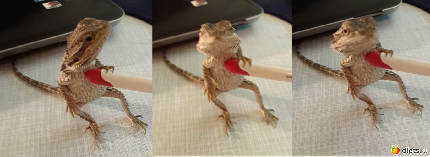 10 ����: ��� ������� �����