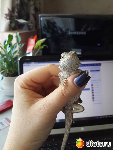 11 ����: ��� ������� �����