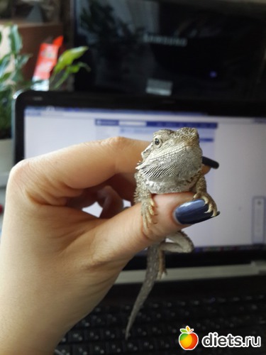 12 ����: ��� ������� �����