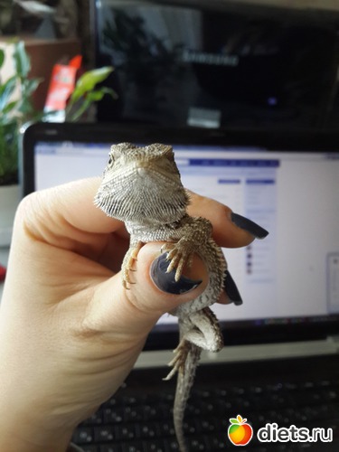 13 ����: ��� ������� �����