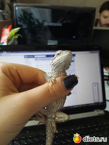 14 ����: ��� ������� �����