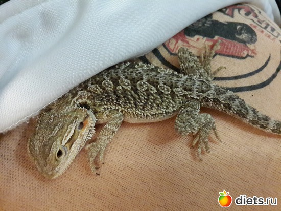 ���������� �����:), ������: ��� ������� �����