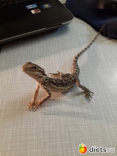 17 ����: ��� ������� �����