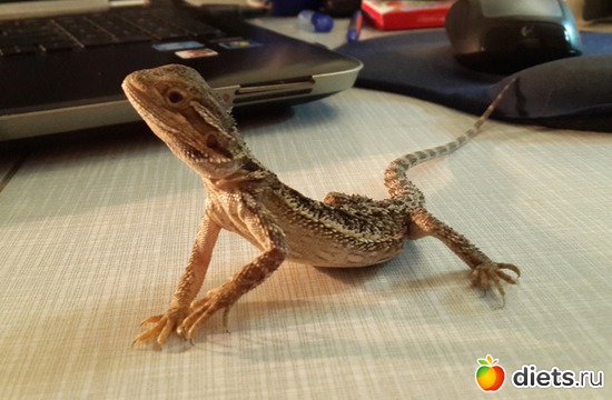 18 ����: ��� ������� �����