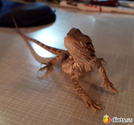 19 ����: ��� ������� �����