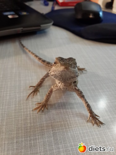 21 ����: ��� ������� �����