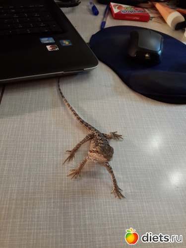 22 ����: ��� ������� �����