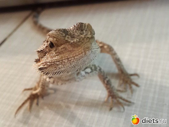 23 ����: ��� ������� �����