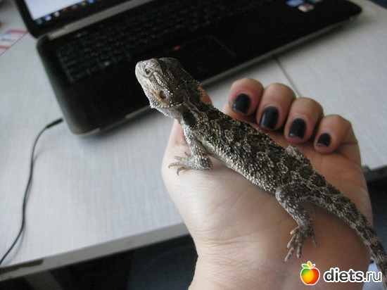 25 ����: ��� ������� �����