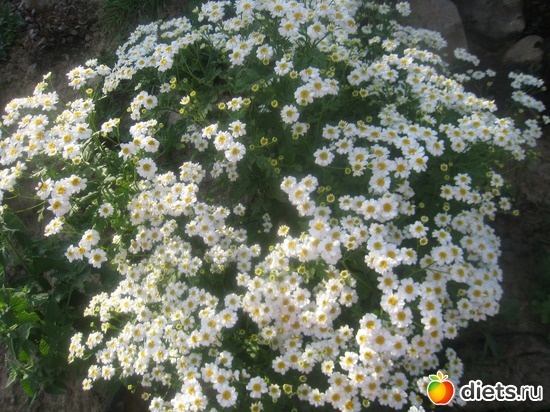 2 ����: ������