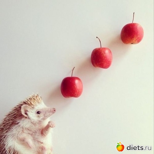 31 ����: �� ���������