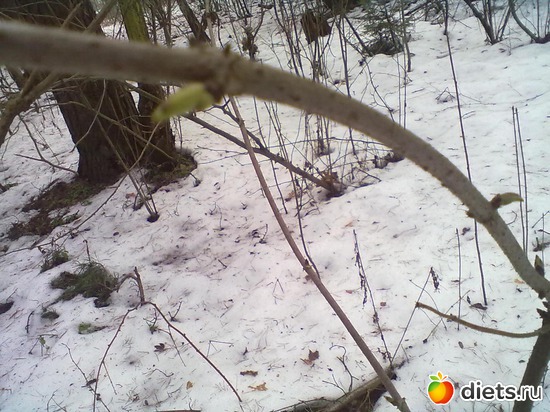 5 фото: Разное