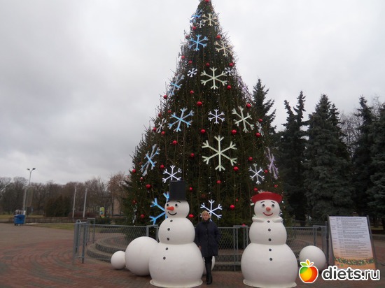 1 ����: 30.12.2013.