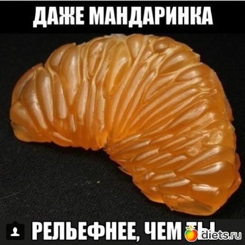 58 ����: �� ���������