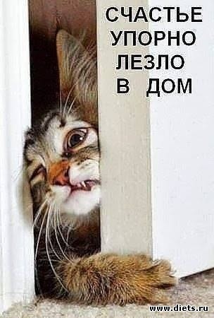 �� ���������