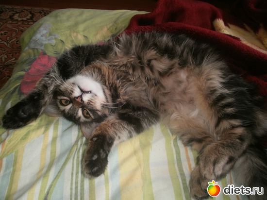 1 ����: �������)))