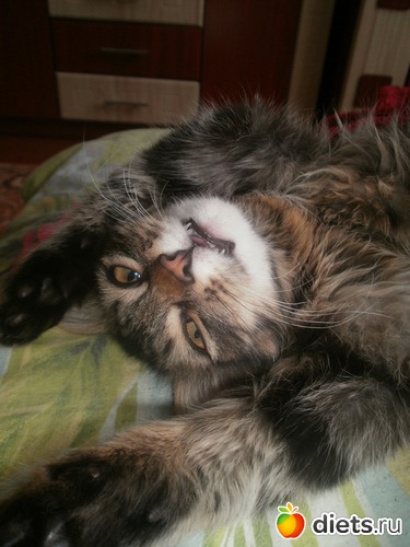 2 ����: �������)))