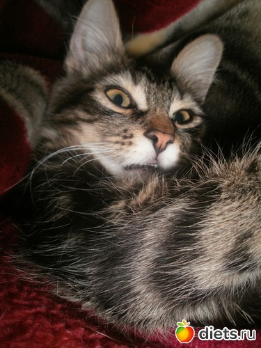 5 ����: �������)))