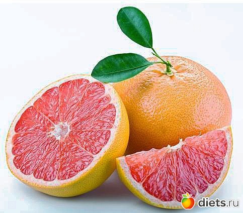 ���������. ��������� �������.