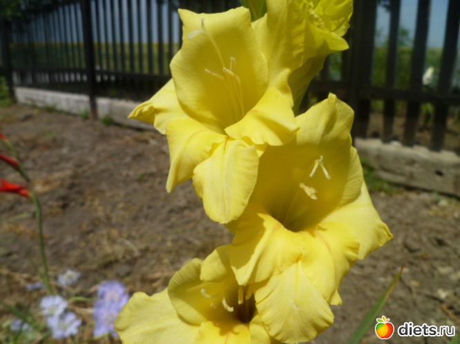 ������ ���������., ������: ��� ��������!