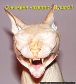 Просто приколы