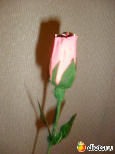 3 фото: Очумелые ручки))