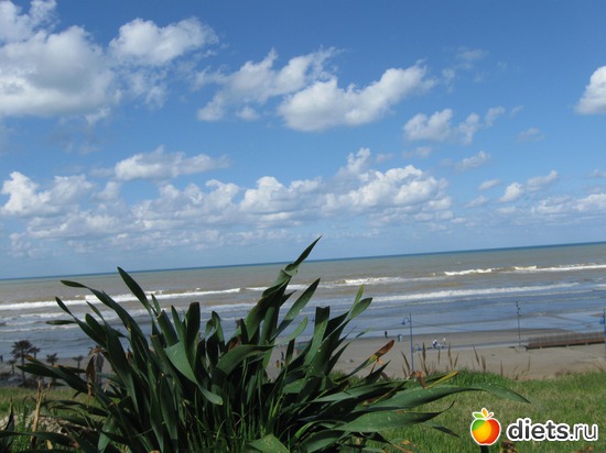 Скоро весна 2.02.2013, альбом: Природа...