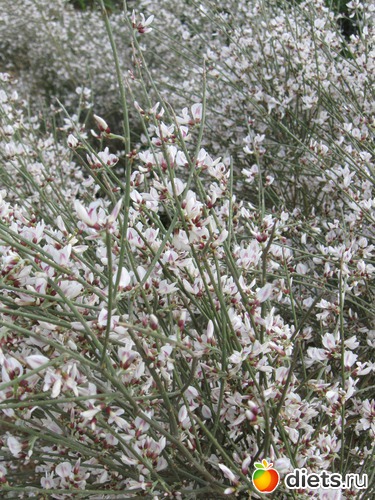 ����� ����� 2.02.2013, ������: �������...