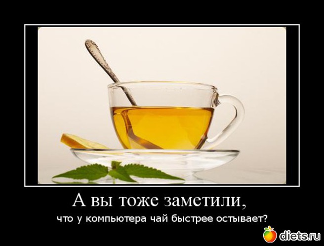 3 ����: ������� ��������� � �����������