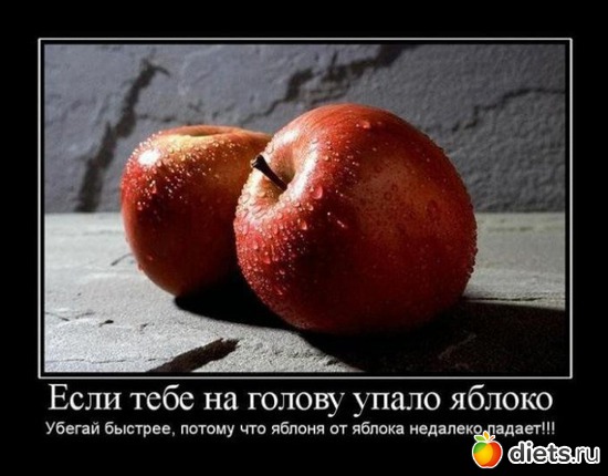 9 ����: ������� ��������� � �����������