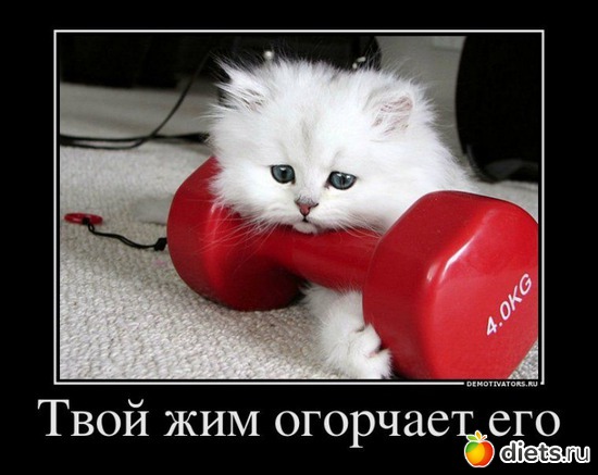 14 ����: ������� ��������� � �����������