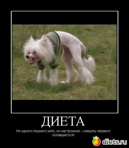 23 ����: ������� ��������� � �����������