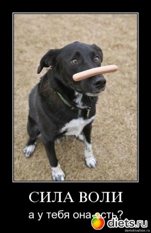 Любимые мотивашки и демотивашки