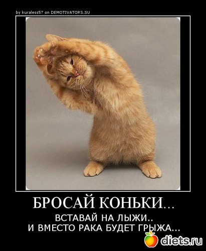 41 ����: ������� ��������� � �����������