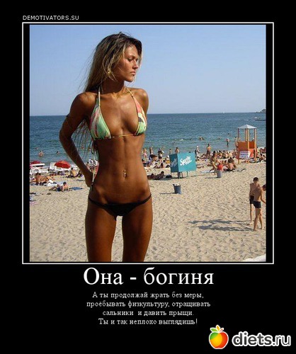 43 ����: ������� ��������� � �����������