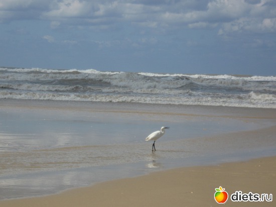 Средиземное море в феврале 2.02.2013, альбом: Природа...